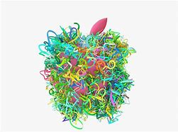 Image result for Apple Corporation