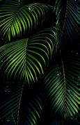 Image result for Green Wallpaper 4K Phone