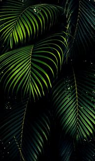 Image result for Green iPhone XS Drone Wallpapers