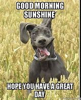 Image result for Happy New Day Meme
