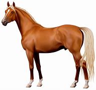 Image result for Horse No Background Free