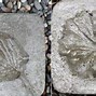 Image result for Cool Stepping Stones