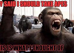 Image result for Planet Apes Memes