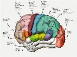 Image result for Primary Memory