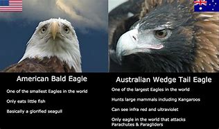 Image result for Australian Pants Size Chart