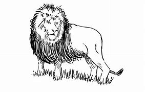Image result for Lion Black and Whiote Clip Art