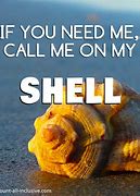 Image result for Funny Shell Memes
