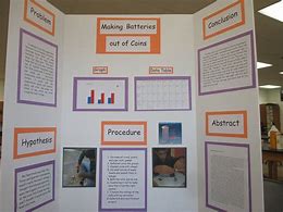 Image result for Science Fair Poster Ideas