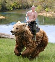 Image result for Vladimir Putin Riding Bear