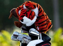 Image result for Tiger Woods Equipment