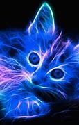 Image result for Nion Cats