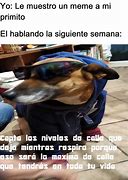 Image result for Memes De Perros En Espanol