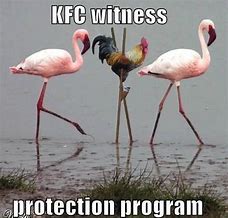 Image result for Funny Flamingo Memes
