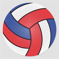 Image result for White Volleyball