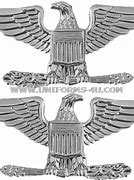 Image result for Army Colonel Rank Insignia