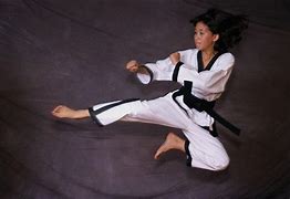 Image result for Types of Martial Arts Kicks