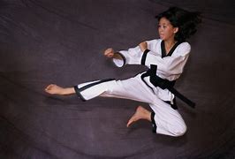 Image result for Korean Martial Arts