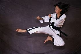 Image result for martial arts styles