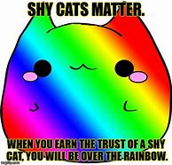 Image result for Cat with Rainbow Emoticon Meme