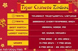 Image result for Tiger Chinese Zodiac Personality
