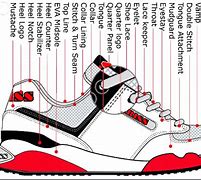 Image result for Sneaker Anatomy