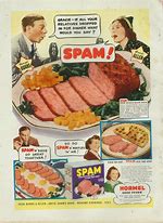 Image result for Spam Meat Cartoon