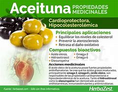 Image result for aceituba