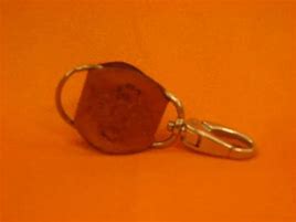 Image result for Key Chain Covid Key
