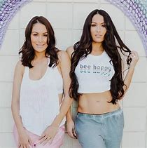 Image result for Bella Twins Poster