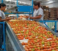 Image result for agroalimentario