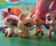 Image result for Funny LPs