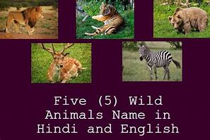 Image result for Five Animals