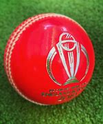 Image result for World Cricket