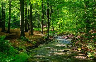 Image result for Serbia Nature