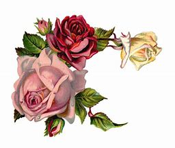 Image result for Rose Art