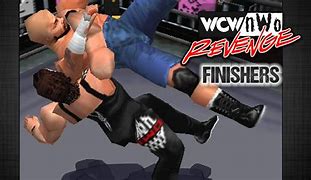 Image result for WCW/NWO Revenge