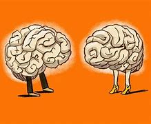 Image result for Man/Woman Brain