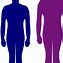 Image result for How Tall Is 74 Cm