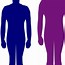 Image result for Height in Inches Size Comparison