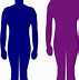 Image result for 6 Foot 4 Tall