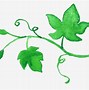 Image result for Vines On Tree Branches Drawing