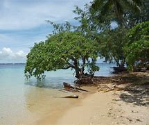 Image result for tonga islands attractions