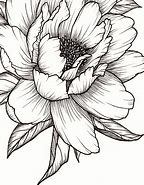 Image result for Big Flower Sketch