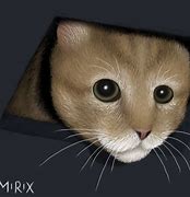 Image result for Ceiling and Basement Cat Meme