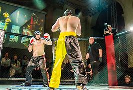 Image result for MMA Cage Fighting