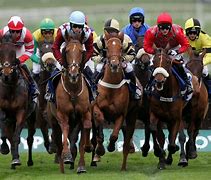 Image result for Horse Racing Wallpaper