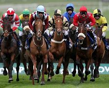 Image result for Horse Racing Pictures Free