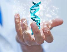 Image result for Human DNA Genetics