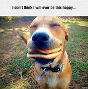 Image result for Happy Picture for Meme