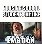 Image result for Nursing School Memes for Stress